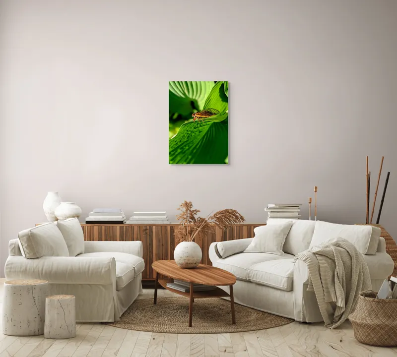Tablou Canvas, "Cicada odihnindu-se pe frunză verde", Cicada, Frunza, Verde, Aripi, Detaliu, Natură, Lumină, Textură, Contrast, Insectă, 50 x 70 cm – poza 4