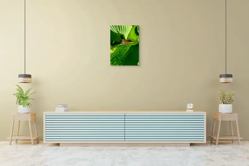 Tablou Canvas, "Cicada odihnindu-se pe frunză verde", Cicada, Frunza, Verde, Aripi, Detaliu, Natură, Lumină, Textură, Contrast, Insectă, 50 x 70 cm – poza 6