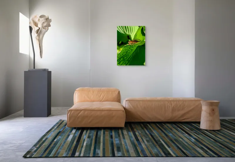 Tablou Canvas, "Cicada odihnindu-se pe frunză verde", Cicada, Frunza, Verde, Aripi, Detaliu, Natură, Lumină, Textură, Contrast, Insectă, 50 x 70 cm – poza 7