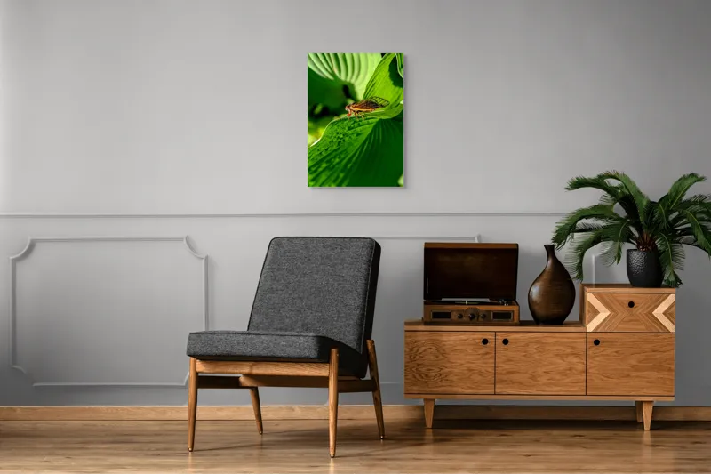 Tablou Canvas, "Cicada odihnindu-se pe frunză verde", Cicada, Frunza, Verde, Aripi, Detaliu, Natură, Lumină, Textură, Contrast, Insectă, 50 x 70 cm – poza 8