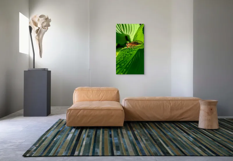 Tablou Canvas, "Cicada odihnindu-se pe frunză verde", Cicada, Frunza, Verde, Aripi, Detaliu, Natură, Lumină, Textură, Contrast, Insectă, 50 x 90 cm – poza 5