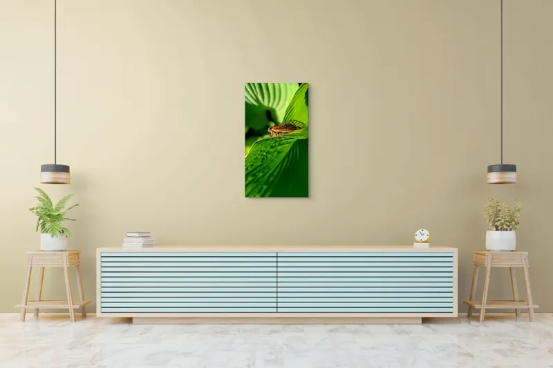 Tablou Canvas, "Cicada odihnindu-se pe frunză verde", Cicada, Frunza, Verde, Aripi, Detaliu, Natură, Lumină, Textură, Contrast, Insectă, 50 x 90 cm – poza 6