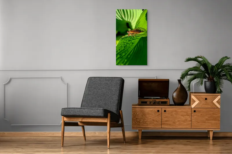 Tablou Canvas, "Cicada odihnindu-se pe frunză verde", Cicada, Frunza, Verde, Aripi, Detaliu, Natură, Lumină, Textură, Contrast, Insectă, 50 x 90 cm – poza 8