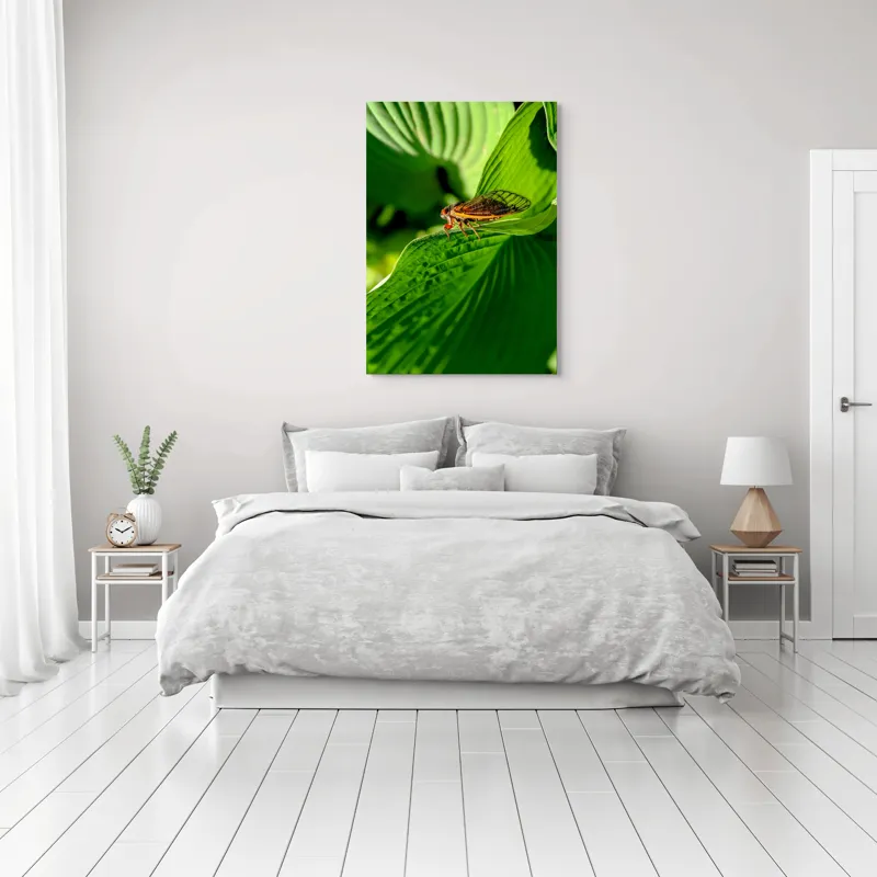 Tablou Canvas, "Cicada odihnindu-se pe frunză verde", Cicada, Frunza, Verde, Aripi, Detaliu, Natură, Lumină, Textură, Contrast, Insectă, 70 x 100 cm – poza 3