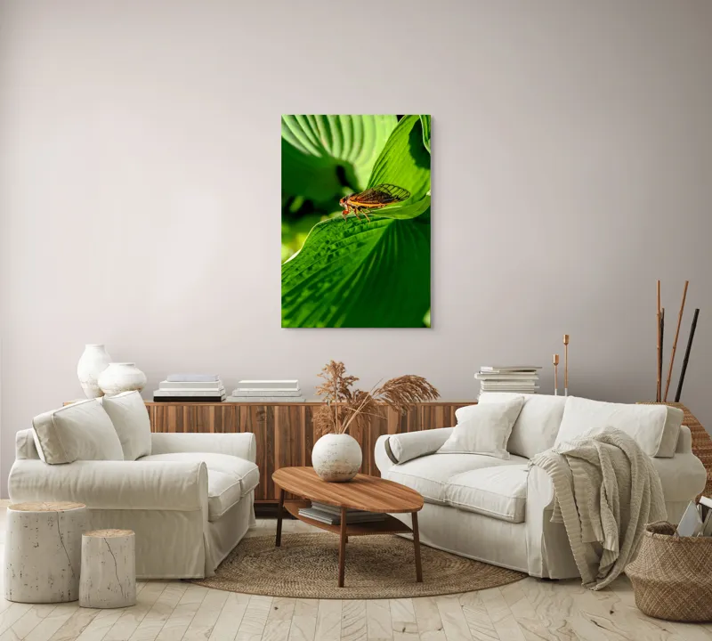 Tablou Canvas, "Cicada odihnindu-se pe frunză verde", Cicada, Frunza, Verde, Aripi, Detaliu, Natură, Lumină, Textură, Contrast, Insectă, 70 x 100 cm – poza 4