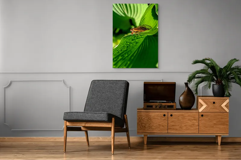 Tablou Canvas, "Cicada odihnindu-se pe frunză verde", Cicada, Frunza, Verde, Aripi, Detaliu, Natură, Lumină, Textură, Contrast, Insectă, 70 x 100 cm – poza 6
