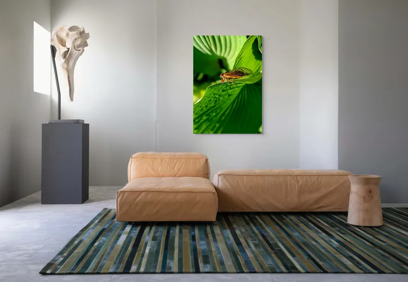 Tablou Canvas, "Cicada odihnindu-se pe frunză verde", Cicada, Frunza, Verde, Aripi, Detaliu, Natură, Lumină, Textură, Contrast, Insectă, 70 x 100 cm – poza 7