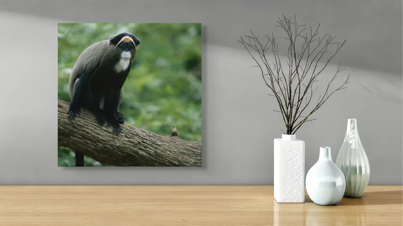 Tablou Canvas, "Maimuța contemplativă pe trunchiul gros", Scamper, Primate, Dense, Fur, Watchful, Perched, Branch, Lush, Verdant, Habitat, 50 x 50 cm – poza 3