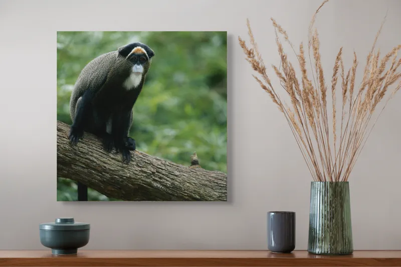 Tablou Canvas, "Maimuța contemplativă pe trunchiul gros", Scamper, Primate, Dense, Fur, Watchful, Perched, Branch, Lush, Verdant, Habitat, 50 x 50 cm – poza 4