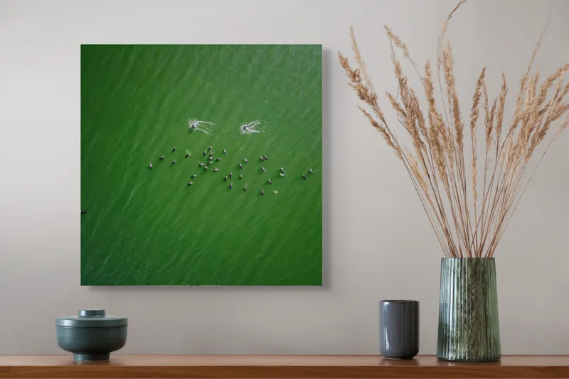 Tablou Canvas, "Dansul păsărilor pe lac verde", 50 x 50 cm – poza 4