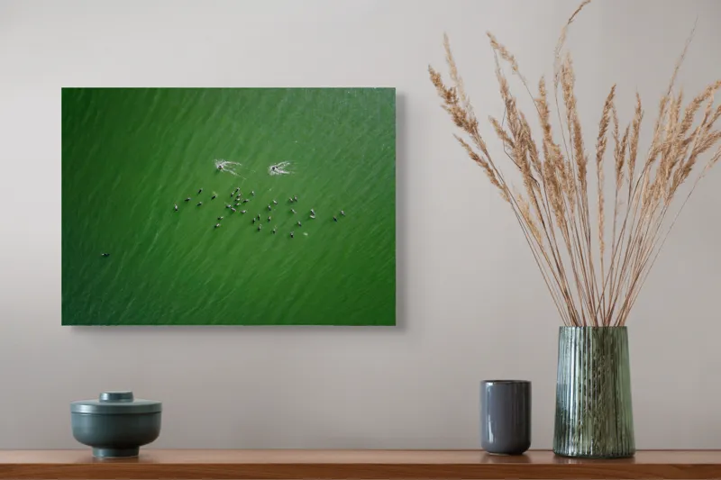Tablou Canvas, "Dansul păsărilor pe lac verde", 54 x 39 cm – poza 4