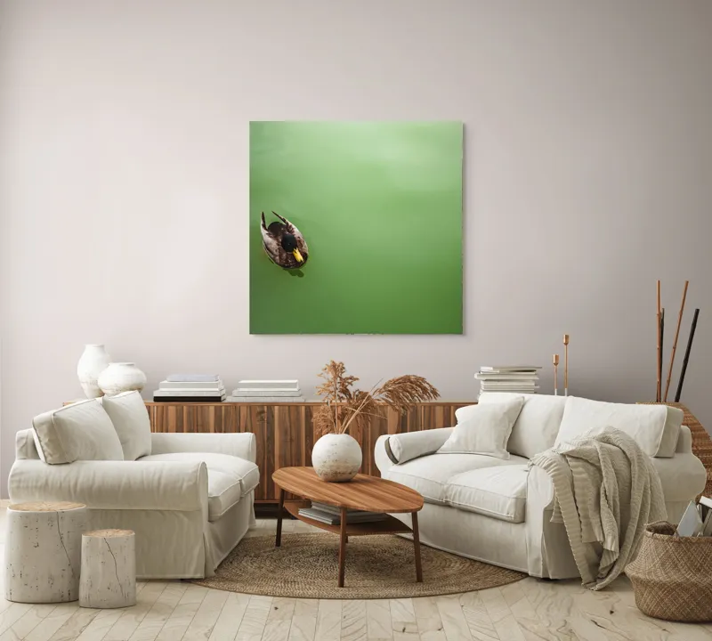 Tablou Canvas, "Rață plutind pe oglinda apei", Rață, Plutind, Apă, Verde, Singurătate, Liniște, Natură, 100 x 100 cm – poza 3
