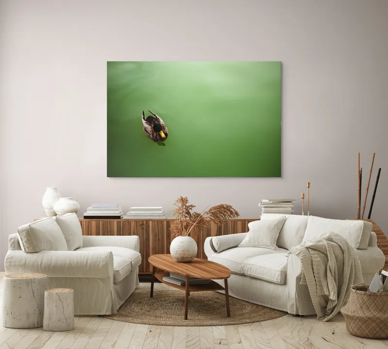 Tablou Canvas, "Rață plutind pe oglinda apei", Rață, Plutind, Apă, Verde, Singurătate, Liniște, Natură, 150 x 100 cm – poza 3