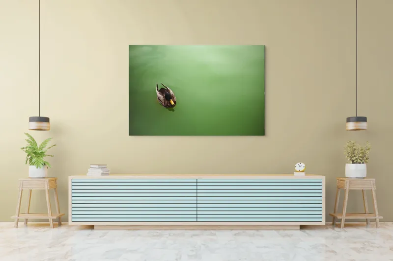 Tablou Canvas, "Rață plutind pe oglinda apei", Rață, Plutind, Apă, Verde, Singurătate, Liniște, Natură, 150 x 100 cm – poza 6