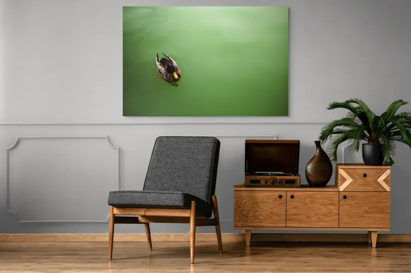Tablou Canvas, "Rață plutind pe oglinda apei", Rață, Plutind, Apă, Verde, Singurătate, Liniște, Natură, 150 x 100 cm – poza 8