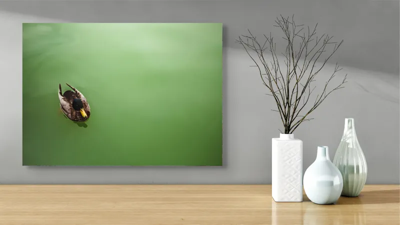 Tablou Canvas, "Rață plutind pe oglinda apei", Rață, Plutind, Apă, Verde, Singurătate, Liniște, Natură, 70 x 50 cm – poza 3