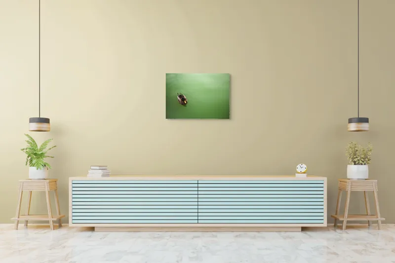 Tablou Canvas, "Rață plutind pe oglinda apei", Rață, Plutind, Apă, Verde, Singurătate, Liniște, Natură, 70 x 50 cm – poza 7