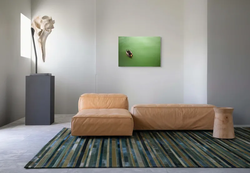 Tablou Canvas, "Rață plutind pe oglinda apei", Rață, Plutind, Apă, Verde, Singurătate, Liniște, Natură, 70 x 50 cm – poza 8