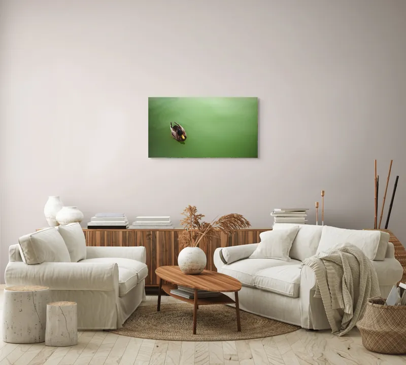 Tablou Canvas, "Rață plutind pe oglinda apei", Rață, Plutind, Apă, Verde, Singurătate, Liniște, Natură, 90 x 50 cm – poza 4