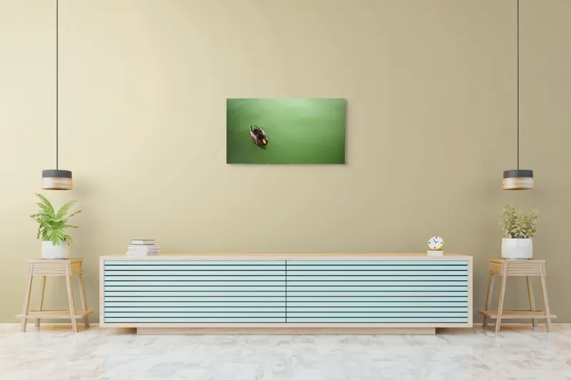 Tablou Canvas, "Rață plutind pe oglinda apei", Rață, Plutind, Apă, Verde, Singurătate, Liniște, Natură, 90 x 50 cm – poza 5