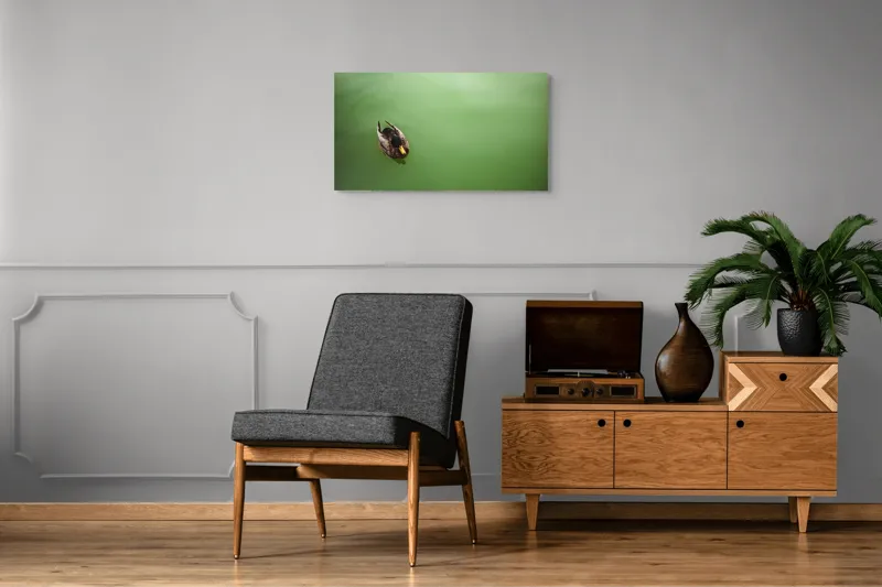 Tablou Canvas, "Rață plutind pe oglinda apei", Rață, Plutind, Apă, Verde, Singurătate, Liniște, Natură, 90 x 50 cm – poza 6