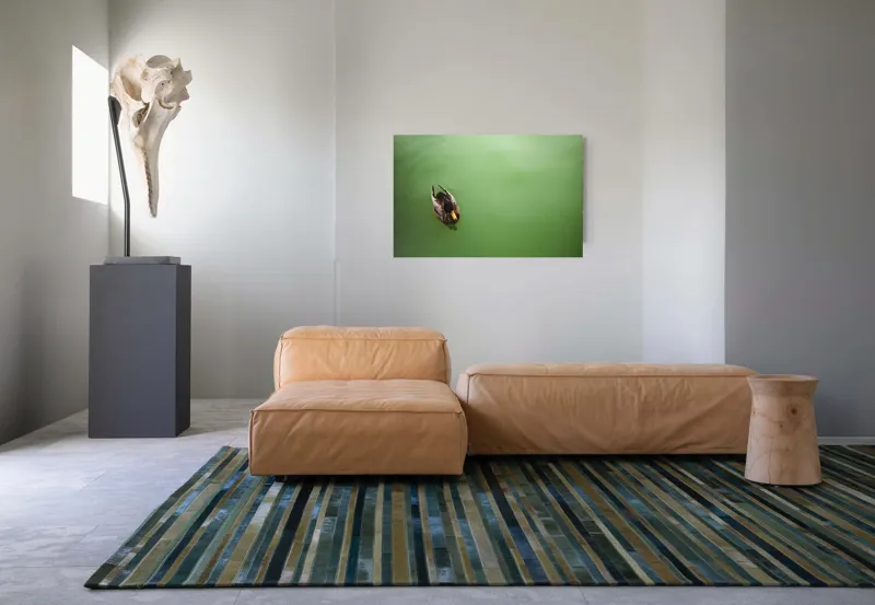 Tablou Canvas, "Rață plutind pe oglinda apei", Rață, Plutind, Apă, Verde, Singurătate, Liniște, Natură, 90 x 50 cm – poza 8