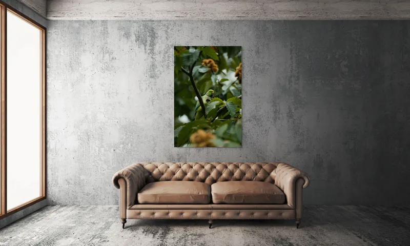 Tablou Canvas, "Papagal verde printre frunzele copacului", Verde, Frunze, Papagal, Crengi, Natură, Pene, Lumină, Copac, 100 x 150 cm – poza 6