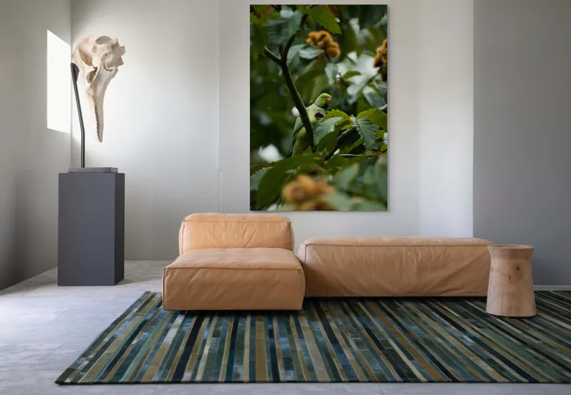 Tablou Canvas, "Papagal verde printre frunzele copacului", Verde, Frunze, Papagal, Crengi, Natură, Pene, Lumină, Copac, 100 x 150 cm – poza 7
