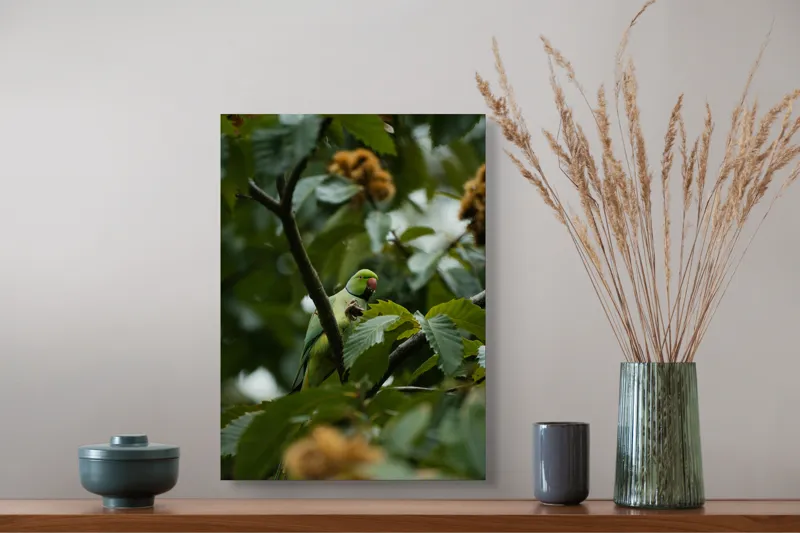 Tablou Canvas, "Papagal verde printre frunzele copacului", Verde, Frunze, Papagal, Crengi, Natură, Pene, Lumină, Copac, 39 x 54 cm – poza 3