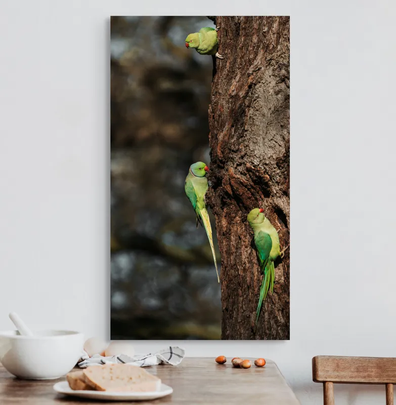 Tablou Canvas, "Papagalii verzi pe trunchiul copacului", Papagali, Arbore, Verde, Natură, Penaj, Cioc, Coajă, Observare, Linie., 50 x 90 cm – poza 3