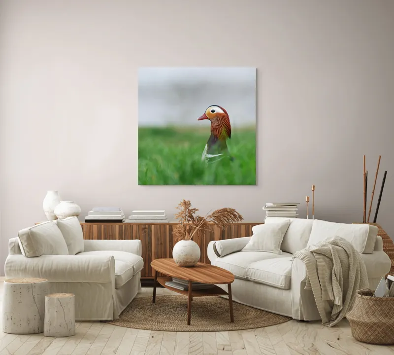 Tablou Canvas, "Rață mandarin printre firele de iarbă", Mandarin, Rațe, Plină, Culoare, Verdeață, Apă, Tranquilitate, Elegant, Natură, 100 x 100 cm – poza 3