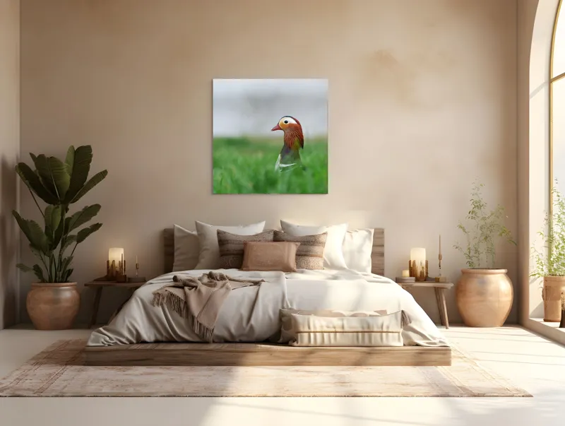 Tablou Canvas, "Rață mandarin printre firele de iarbă", Mandarin, Rațe, Plină, Culoare, Verdeață, Apă, Tranquilitate, Elegant, Natură, 100 x 100 cm – poza 4