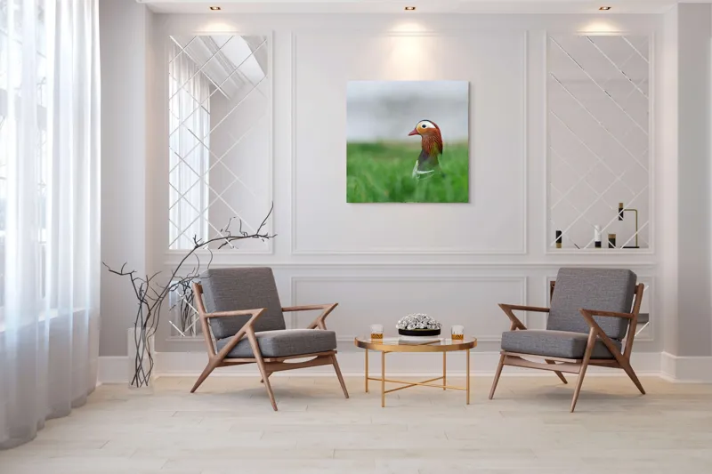 Tablou Canvas, "Rață mandarin printre firele de iarbă", Mandarin, Rațe, Plină, Culoare, Verdeață, Apă, Tranquilitate, Elegant, Natură, 100 x 100 cm – poza 7
