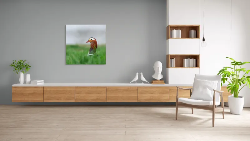 Tablou Canvas, "Rață mandarin printre firele de iarbă", Mandarin, Rațe, Plină, Culoare, Verdeață, Apă, Tranquilitate, Elegant, Natură, 100 x 100 cm – poza 8