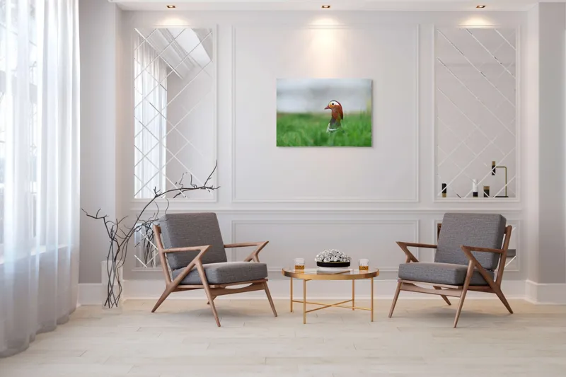 Tablou Canvas, "Rață mandarin printre firele de iarbă", Mandarin, Rațe, Plină, Culoare, Verdeață, Apă, Tranquilitate, Elegant, Natură, 100 x 70 cm – poza 5