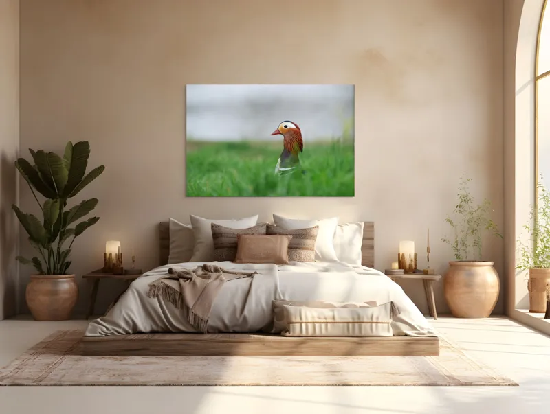 Tablou Canvas, "Rață mandarin printre firele de iarbă", Mandarin, Rațe, Plină, Culoare, Verdeață, Apă, Tranquilitate, Elegant, Natură, 150 x 100 cm – poza 4