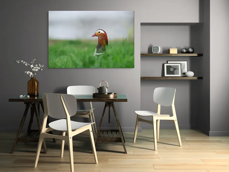 Tablou Canvas, "Rață mandarin printre firele de iarbă", Mandarin, Rațe, Plină, Culoare, Verdeață, Apă, Tranquilitate, Elegant, Natură, 150 x 100 cm – poza 5