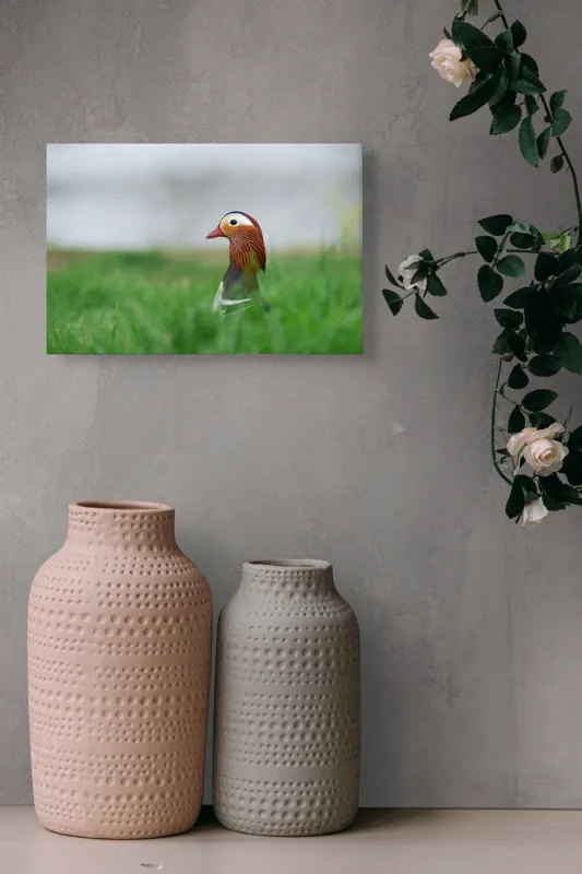 Tablou Canvas, "Rață mandarin printre firele de iarbă", Mandarin, Rațe, Plină, Culoare, Verdeață, Apă, Tranquilitate, Elegant, Natură, 39 x 26 cm – poza 4