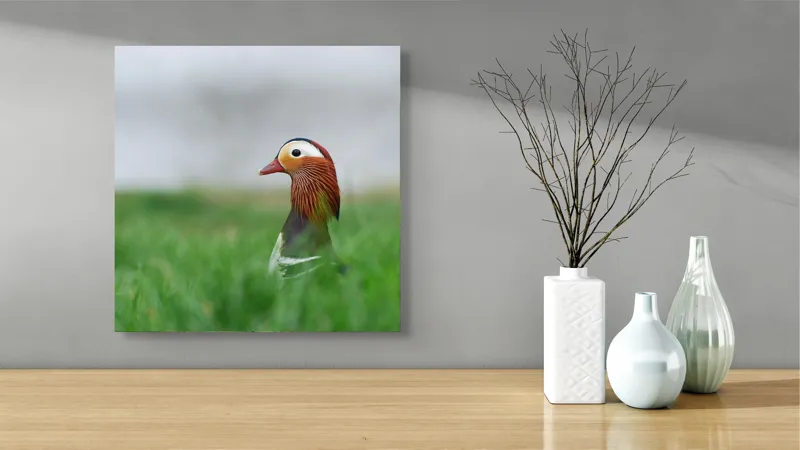 Tablou Canvas, "Rață mandarin printre firele de iarbă", Mandarin, Rațe, Plină, Culoare, Verdeață, Apă, Tranquilitate, Elegant, Natură, 50 x 50 cm – poza 3