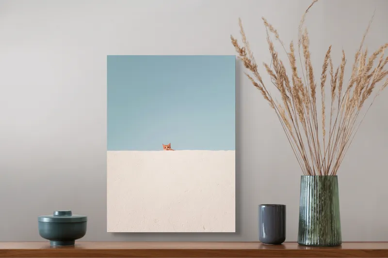 Tablou Canvas, "Pisica și peretele alb curat", Pisică, Curioasă, Zid, Cer, Minimalism, Contrast, Simplu, Solitar, Observator, Blândețe, 39 x 54 cm – poza 3