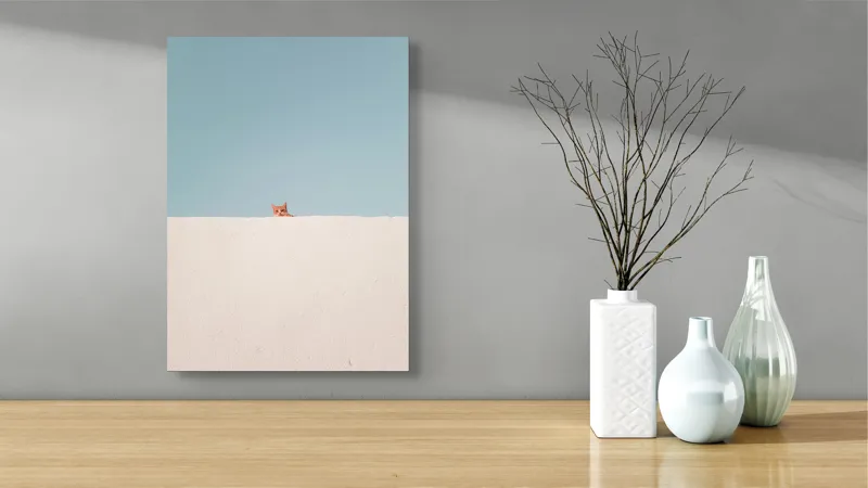 Tablou Canvas, "Pisica și peretele alb curat", Pisică, Curioasă, Zid, Cer, Minimalism, Contrast, Simplu, Solitar, Observator, Blândețe, 39 x 54 cm – poza 4