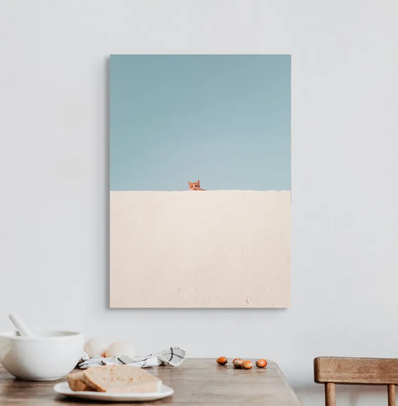 Tablou Canvas, "Pisica și peretele alb curat", Pisică, Curioasă, Zid, Cer, Minimalism, Contrast, Simplu, Solitar, Observator, Blândețe, 50 x 70 cm – poza 3