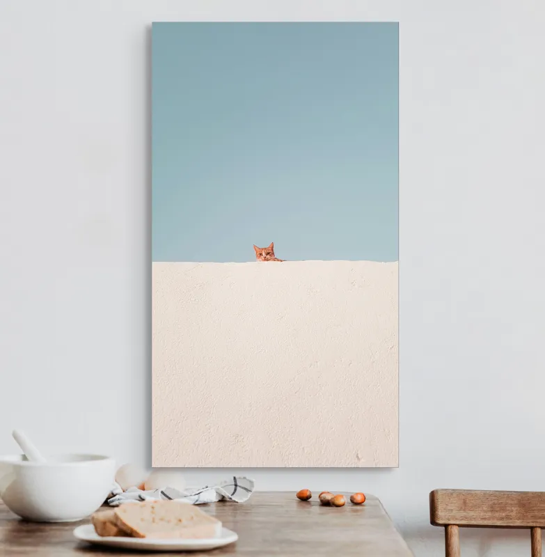 Tablou Canvas, "Pisica și peretele alb curat", Pisică, Curioasă, Zid, Cer, Minimalism, Contrast, Simplu, Solitar, Observator, Blândețe, 50 x 90 cm – poza 3