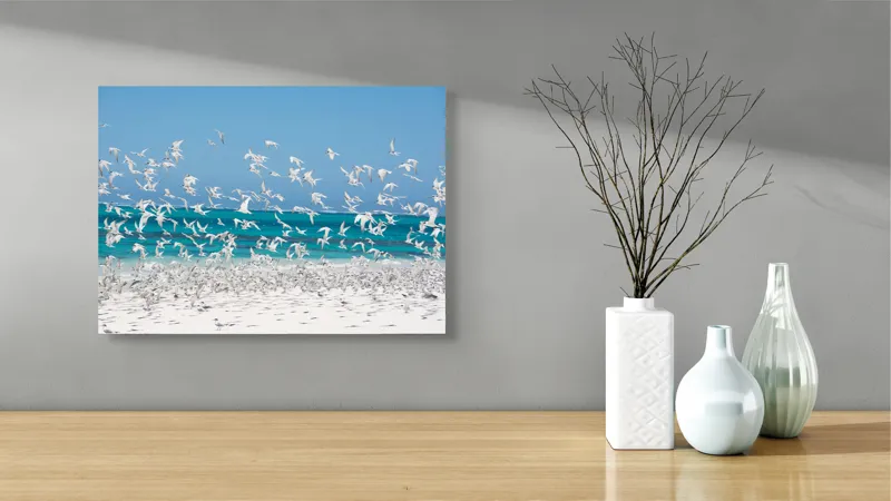 Tablou Canvas, "Dansul pescărușilor deasupra plajei însorite", Păsări, Cer, Plajă, Valuri, Nisip, Ocean, Zbor, Aripi, Libertate, Natură, 54 x 39 cm – poza 3