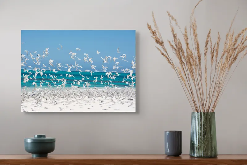 Tablou Canvas, "Dansul pescărușilor deasupra plajei însorite", Păsări, Cer, Plajă, Valuri, Nisip, Ocean, Zbor, Aripi, Libertate, Natură, 54 x 39 cm – poza 4