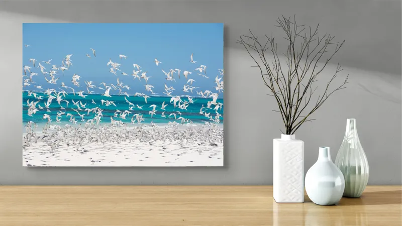 Tablou Canvas, "Dansul pescărușilor deasupra plajei însorite", Păsări, Cer, Plajă, Valuri, Nisip, Ocean, Zbor, Aripi, Libertate, Natură, 70 x 50 cm – poza 3
