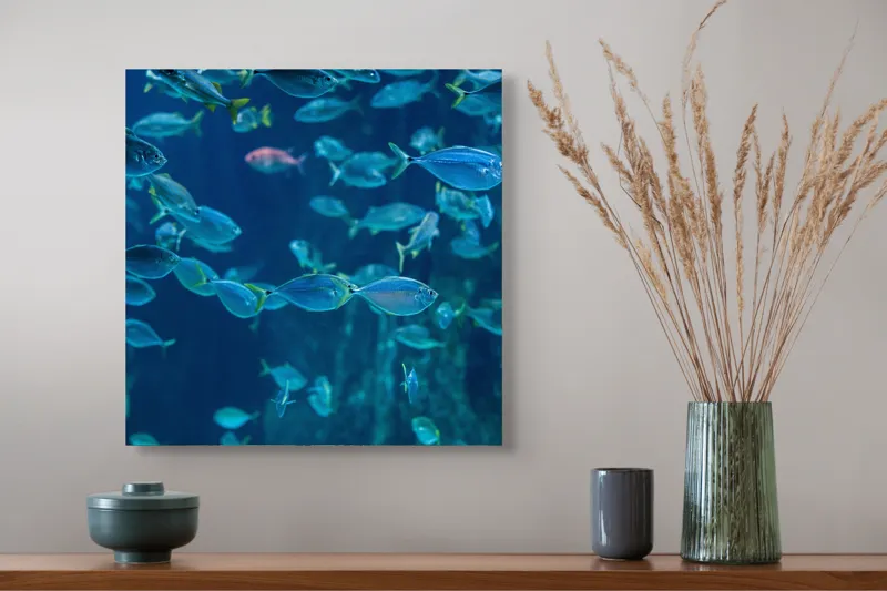 Tablou Canvas, "Dansul albastru al peștilor oceanici", Pești, Albastru, Ocean, Mișcare, Agilitate, Lumină, Reflexie, 50 x 50 cm – poza 4