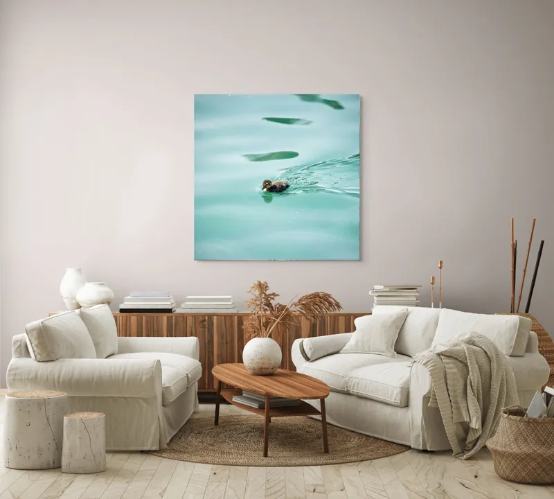 Tablou Canvas, "Rățușca plutește pe lacul albastru", Rățușcă, Apă, Albastră, Reflexie, Înot, Natură, 100 x 100 cm – poza 3