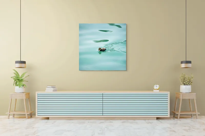 Tablou Canvas, "Rățușca plutește pe lacul albastru", Rățușcă, Apă, Albastră, Reflexie, Înot, Natură, 100 x 100 cm – poza 5
