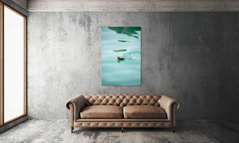 Tablou Canvas, "Rățușca plutește pe lacul albastru", Rățușcă, Apă, Albastră, Reflexie, Înot, Natură, 100 x 150 cm – poza 6